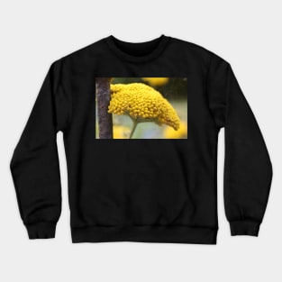 Vintage Yellow Yarrow Crewneck Sweatshirt